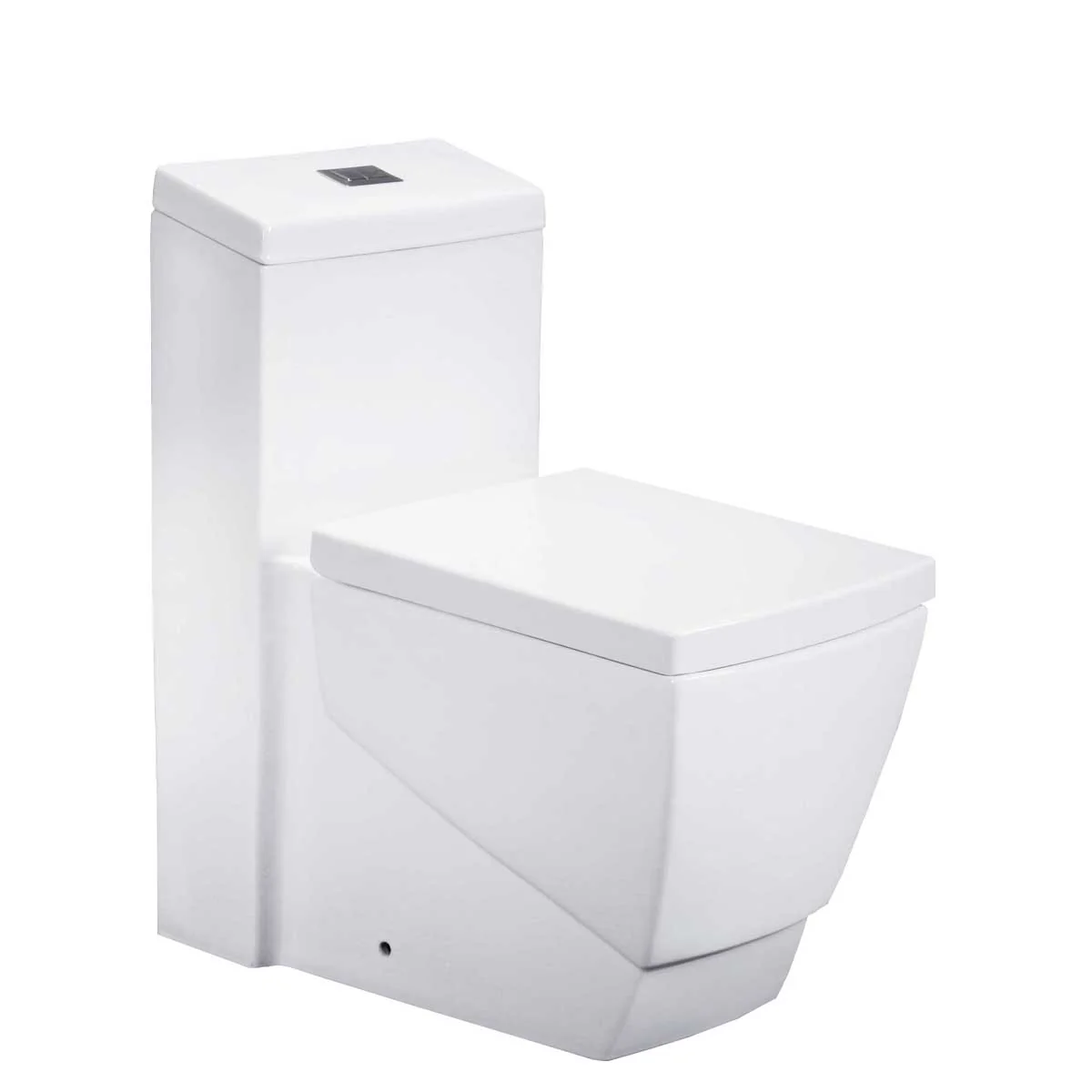 One-Piece 1.0/1.6 GPF Dual Flush Elongated Toilet with Soft-Close Seat LT5